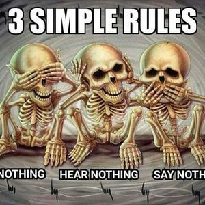 Meet your Posher, Jesse